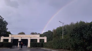 Расписание на лето: что будет по выходным в парках Рязани