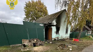 В Рязанской области при пожаре погибли ребенок и пожилая женщина