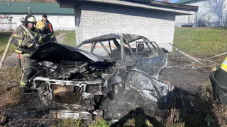 Под Сасово водитель сгорела в улетевшей с дороги машине 
