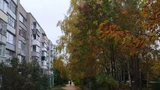 В Рязани потеплеет до плюс 18 градусов 9 октября