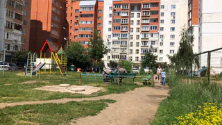 24 июля в Рязанской области ожидается порывистый ветер и до +8