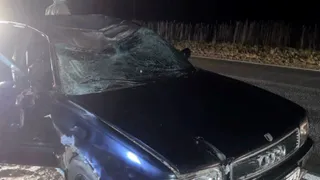 Под Касимовом пассажир "Ауди" не выжил в аварии с лосем