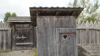 Узнал что посадить рядом с туалетом на даче: больше не заморачиваюсь с чисткой септика - простой и надежный способ