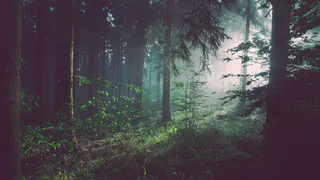 О погоде в Рязани - весеннее тепло возвращается