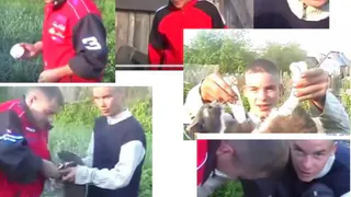 Рязанцы требуют наказать садистов, взорвавших кота 