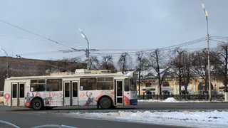 25 января в Рязанской области ожидается снег и до +1