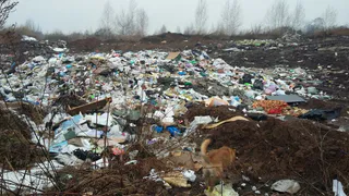 Рязанцы хотят самостоятельно убрать свалку в Канищево