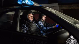 В Песочне задержали 29-летнего мужчину, который повредил три автомобиля и дверь подъезда