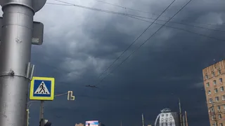 Метеопредупреждение: в Рязанской области ожидается усиление ветра
