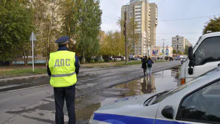Сотрудники ГИБДД оштрафовали более 200 рязанцев за переход дороги в неположенном месте