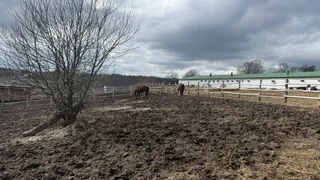 В Кадомском прокуратура аннулировала соглашение об аренде участка земли 