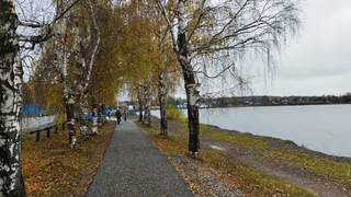 Пасмурное воскресенье без дождей ждет рязанцев 11 октября