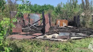 В Рязанской области за неделю потушили 53 пожара