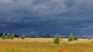 В Рязани разразится гроза до конца суток