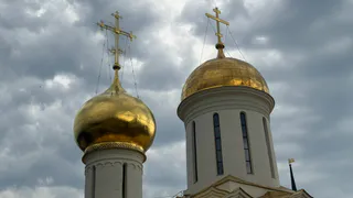 Рязанскую епархию возглавил митрополит Никодим