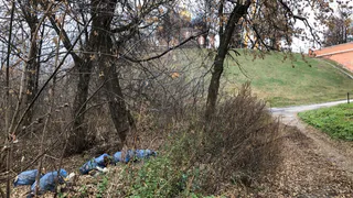 7 октября в Рязани состоится первый общегородской осенний субботник