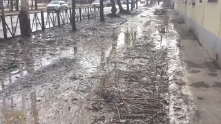 Непроходимый тротуар на улице Ленинского Комсомола в Рязани сняли на видео
