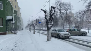 Рязанцев 17 декабря ждут метель, снежные заносы и холод до -6