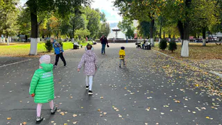 У Дендропарка в Рязани вырубят 15 деревьев: что построят на их месте