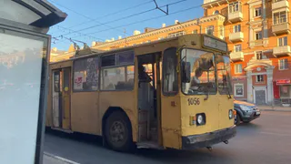 Песков прокомментировал введение QR-кодов в транспорте