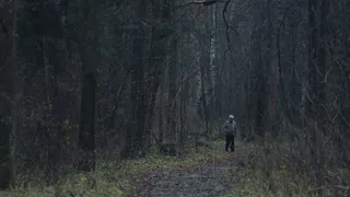 Семь рязанцев пострадали от укусов клещей