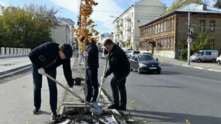 Четыре дня озеленения — Рязань украсят липами, клёнами и можжевельниками