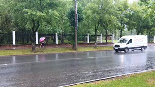 В Рязань в конце июня ворвется европейское тепло с дождями