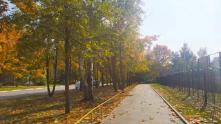 Добро пожаловать, осень: когда закончится бабье лето