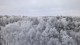 Этой весной ударят аномальные морозы намного сильнее зимних. Синоптики обновили прогноз на март и апрель