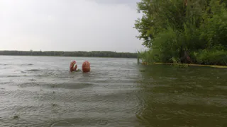На карьере в Борках утонул мужчина