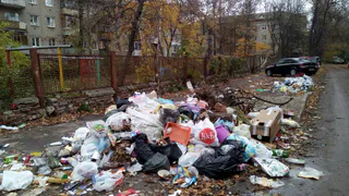 На улице Урицкого мусор "забывают" вывозить