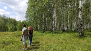 В Рязани участок Лесопарка планируют использовать под выставки и досуг