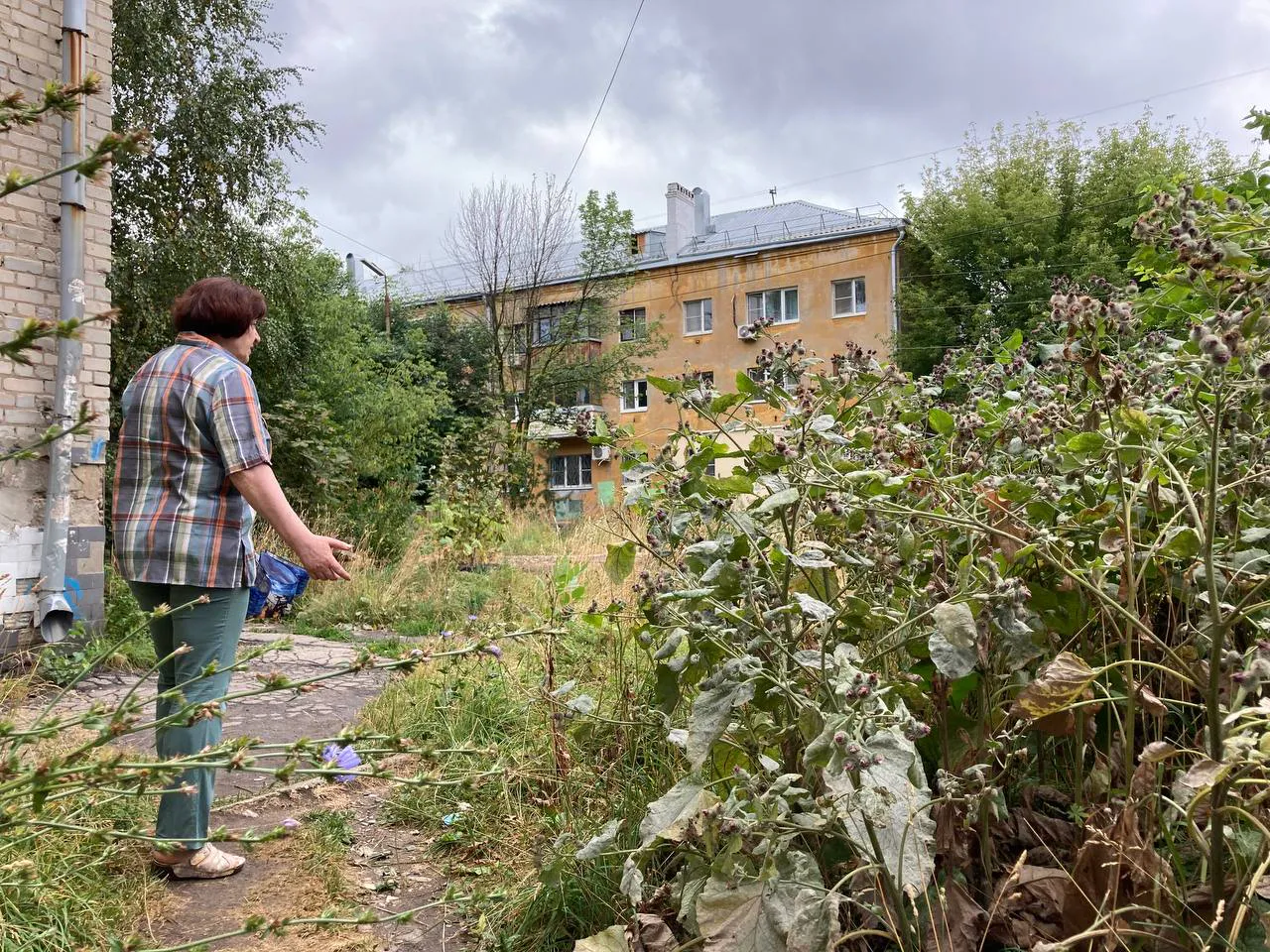 «Я на свои деньги убирала, косила, сажала»