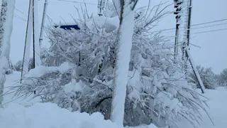 Рязанскую область ожидают погодные качели