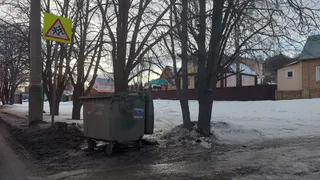 В Рязани выявили проблемы с уборкой мусора и благоустройством дворов
