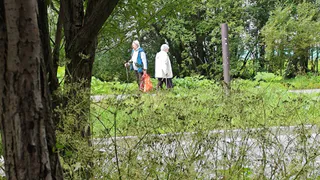 Днем – солнце, ночью – ливень: прогноз погоды в Рязани на выходные