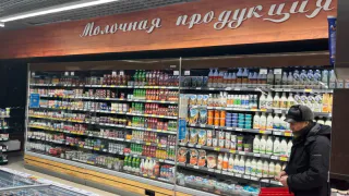 Производителя молочной продукции оштрафовали из-за мух и мышей