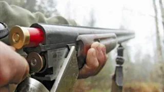 В Мещерском парке браконьеров выдала кровь на одежде