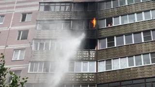 В сети появилось видео пожара в многоэтажке в Дашково-Песочне