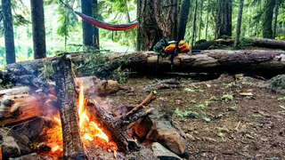 Берегите природу: в Рязани проводят рейды в рамках противопожарных мероприятий