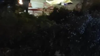 Убийство у Полетаевского рынка: дело направлено в суд