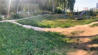 “Мы просили убрать помойку”:  аллея Славы бесславно утопает в мусоре