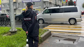 Рязанский водитель ответит перед судом за пощёчину дедушке на пешеходном переходе