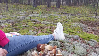 В Рязанской области напомнили об уголовной ответственности за сбор редких грибов