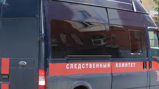 В Рязанской области погибла 12-летняя школьница - возбуждено уголовное дело