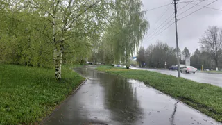 На Рязанскую область надвигаются грозы и сильный ветер