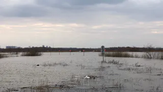 В Дягилеве уходят под воду частные жилые дома 