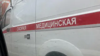 На улице Зубковой в Рязани легковушка сбила супружескую пару