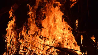Сильное пламя: на пожаре в Пронском районе погиб 52-летний мужчина