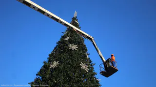 В Рязани ель на площади Ленина украсят 400 шариков